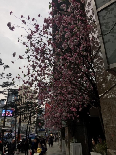 IMG-20170406-WA0157